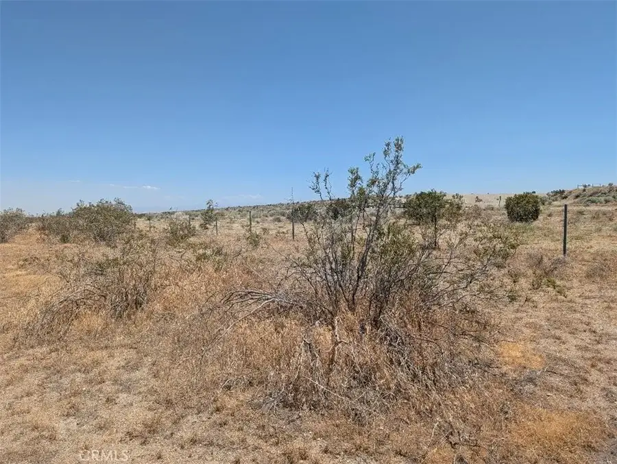 27 248th, Llano, CA 93544 - #3