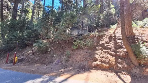 0 Sunderland, Lake Arrowhead, CA 92352