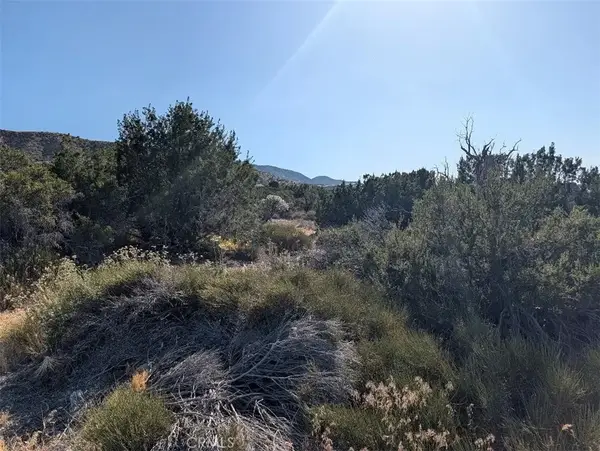 8 Mountain, Pinon Hills, CA 92372