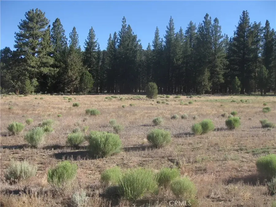 2818 Erwin Ranch Rd, Big Bear City, CA 92314 - #2