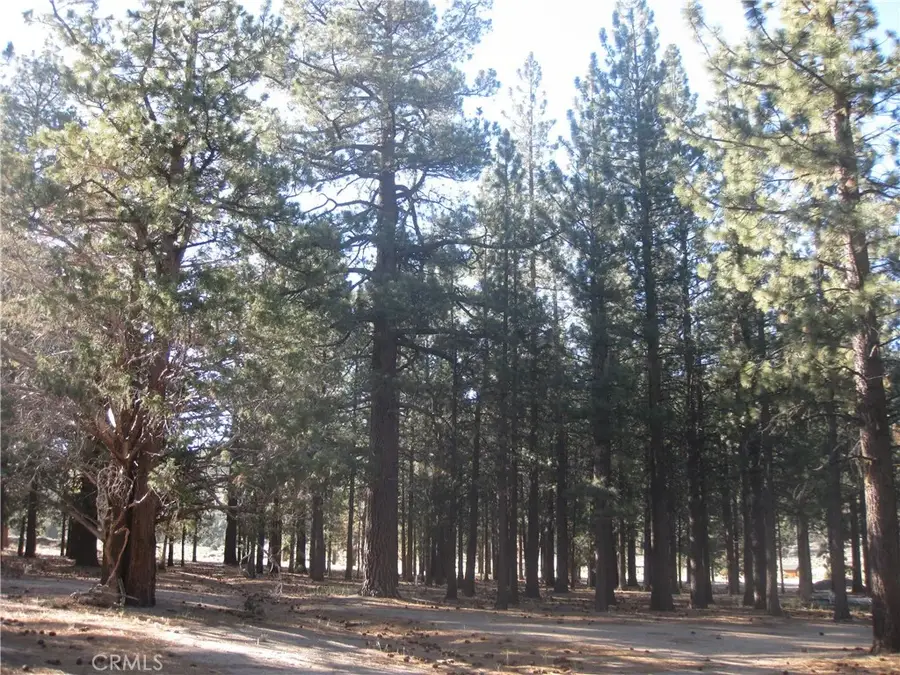 2818 Erwin Ranch Rd, Big Bear City, CA 92314 - #3