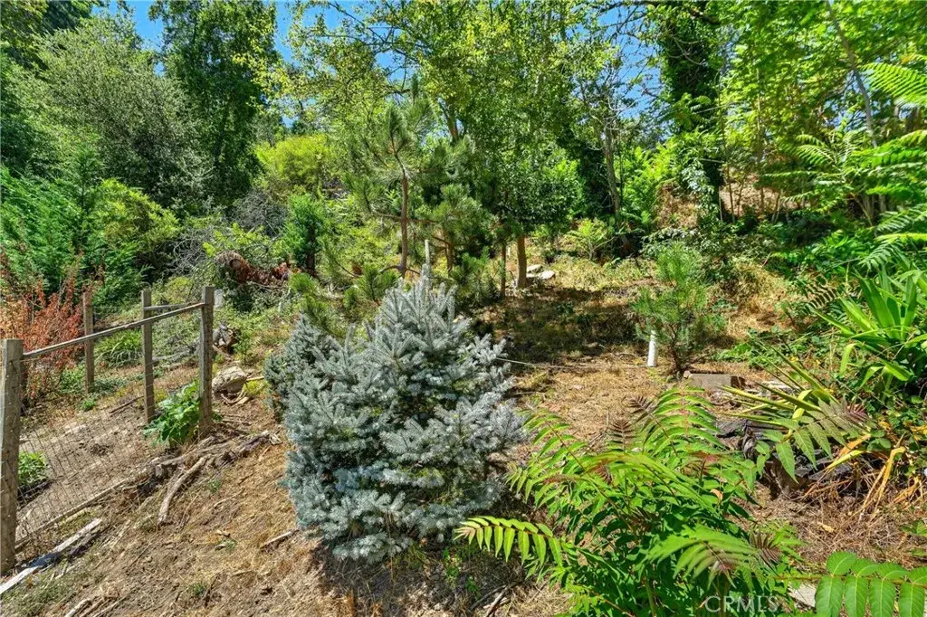17940 Helen, Los Gatos, CA 95033 - #1