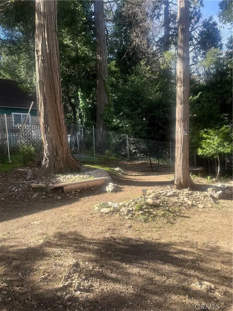 23747 Pioneer Camp Road, Crestline, CA 92325 - #2