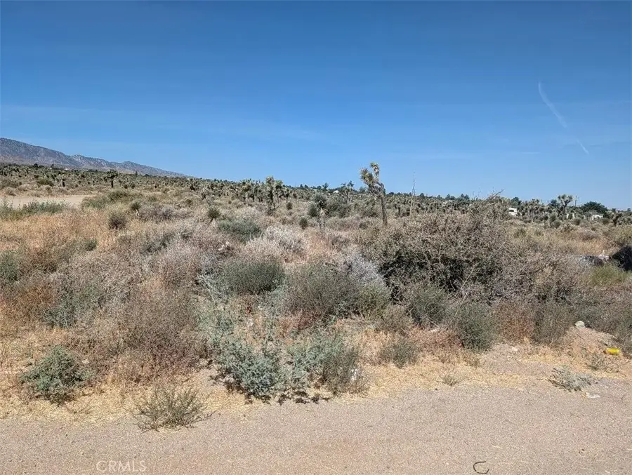 12 Sheep Creek, Phelan, CA 92371 - #3