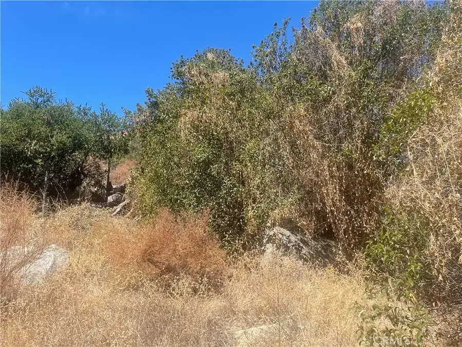 0 Friar Tuck Way, Lake Elsinore, CA 92530 - #3