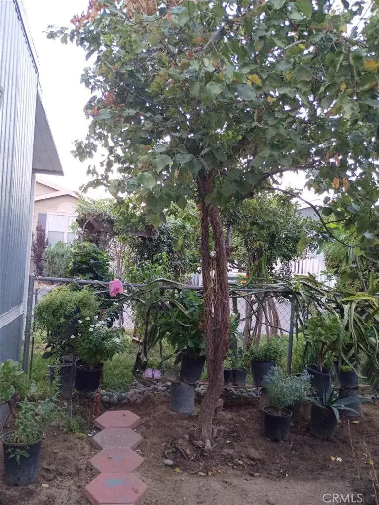 26245 Baseline #41, Highland, CA 92346 - #2