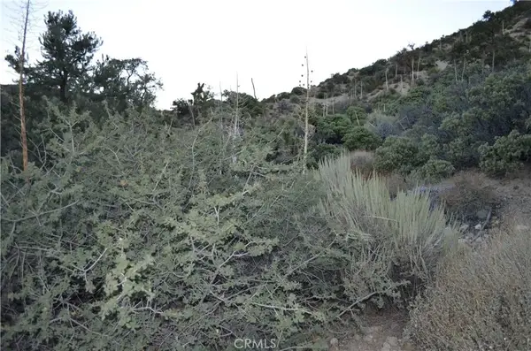 0 Verde, Pinon Hills, CA 92372