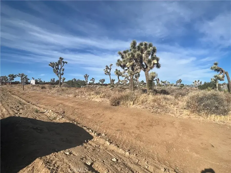 111 Wallaby, Yucca Valley, CA 92284 - #2