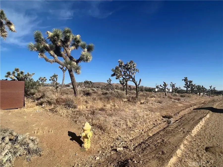 111 Wallaby, Yucca Valley, CA 92284 - #3