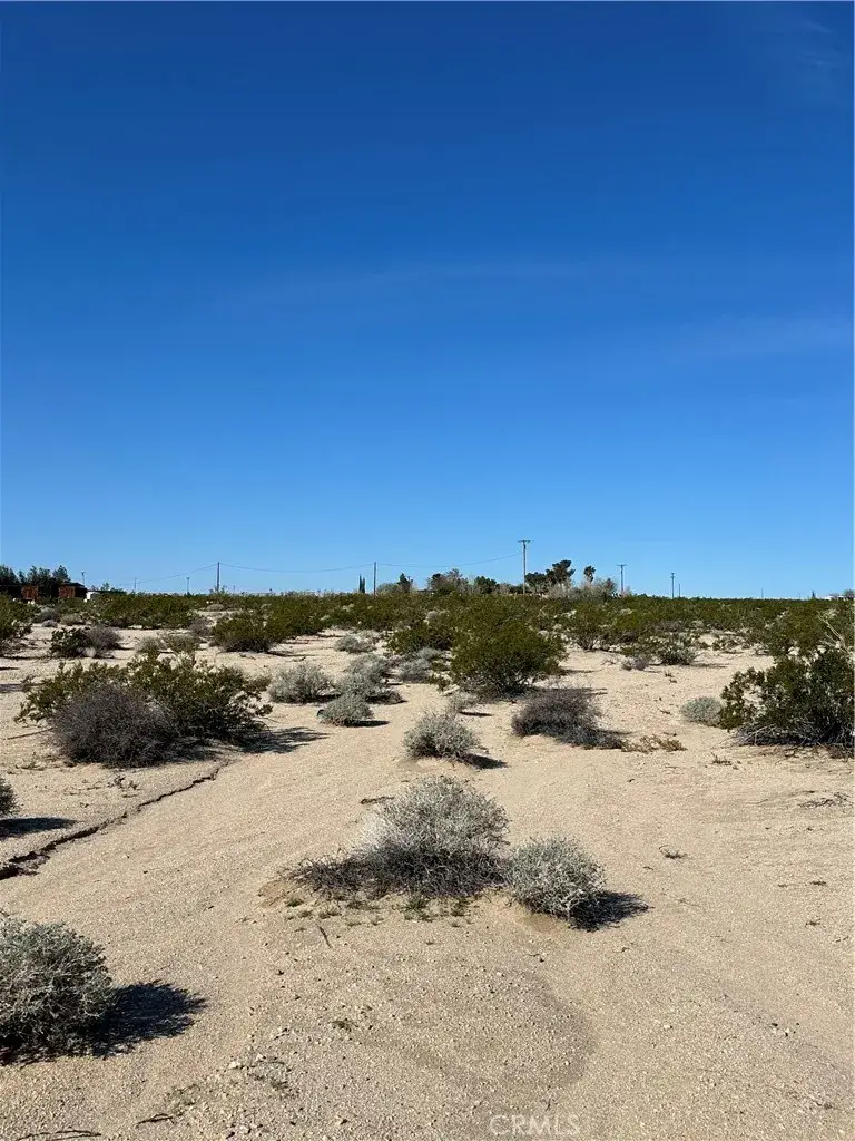 1234 Decker, Twentynine Palms Yucca Valley, CA 92277 - #1