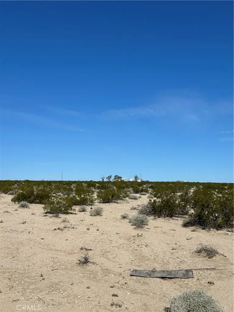 1234 Decker, Twentynine Palms Yucca Valley, CA 92277 - #3