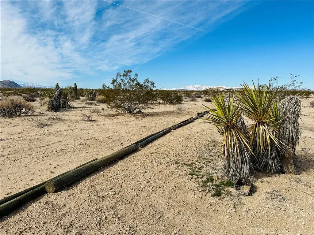 1234 Desert Lily, Joshua Tree, CA 92252 - Image #1