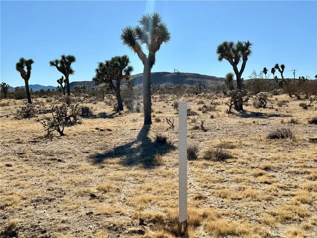 4726 Paradise View, Yucca Valley, CA 92284 - #1