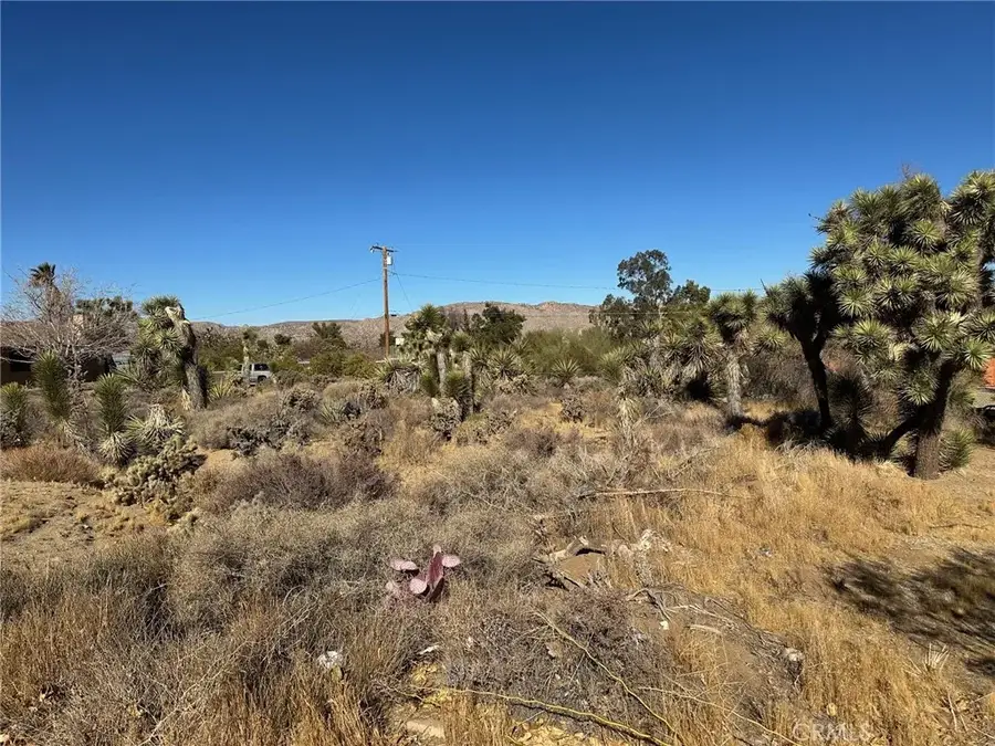 56434 Desert Gold, Yucca Valley, CA 92284 - #3