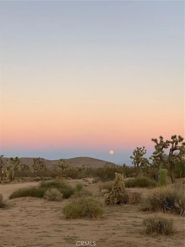 57816 Pajara, Yucca Valley, CA 92284 - #2