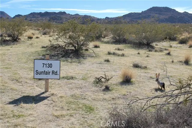 64647 Foothill, Joshua Tree, CA 92252 - #2