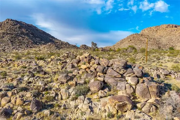 62570 Turtle, Joshua Tree, CA 92252