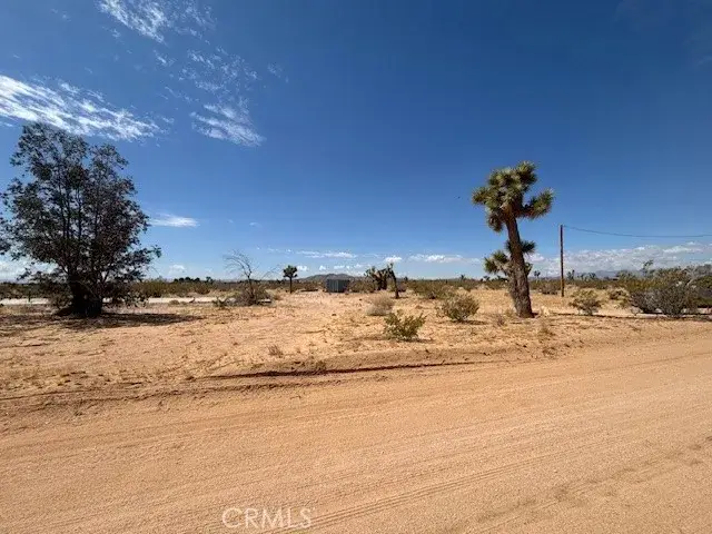 1 Mitch, Yucca Valley, CA 92284 - #2