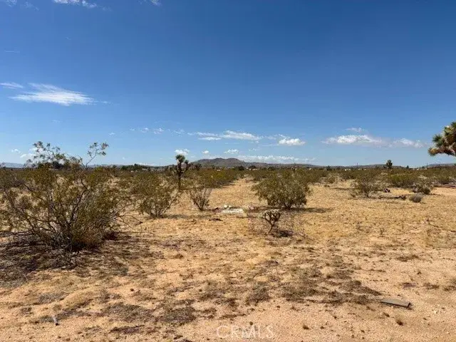 1 Mitch, Yucca Valley, CA 92284 - #3
