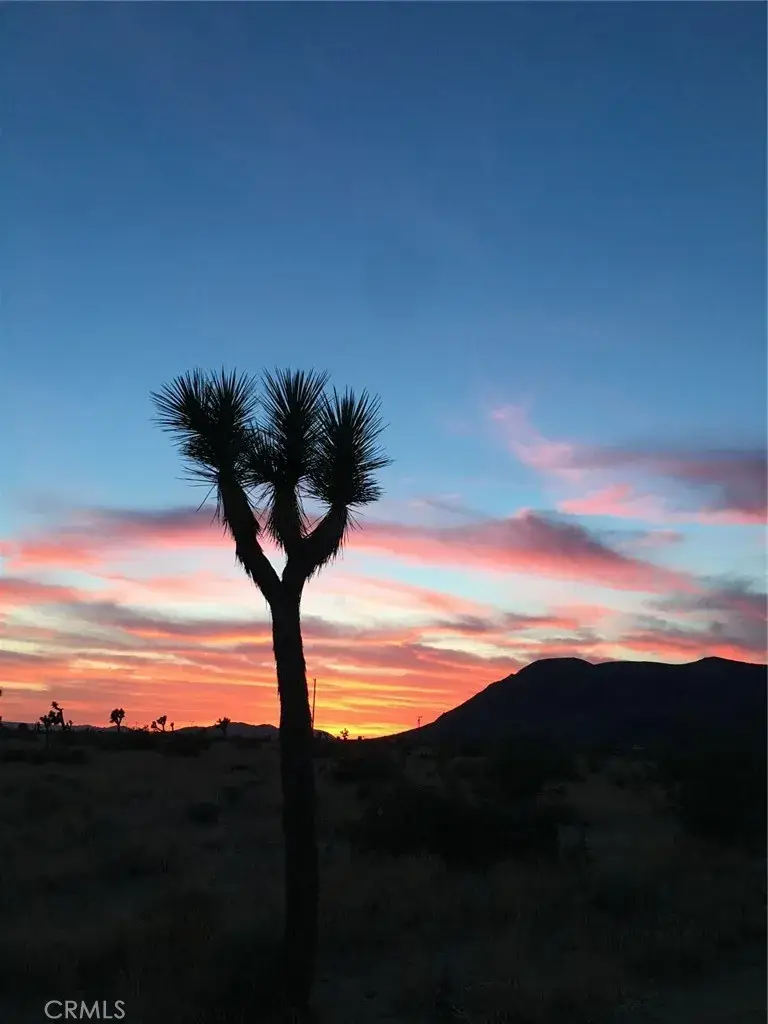 59990 Mitch, Landers, CA 92285 - Image #1