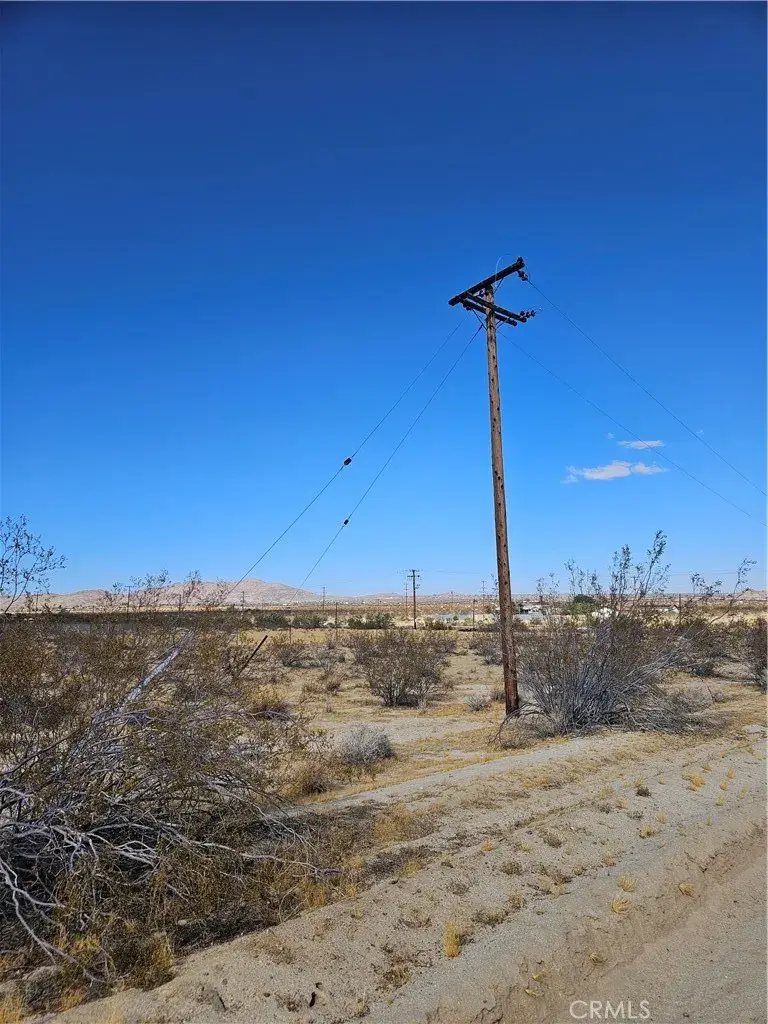 0 California, Joshua Tree, CA 92252 - Image #3