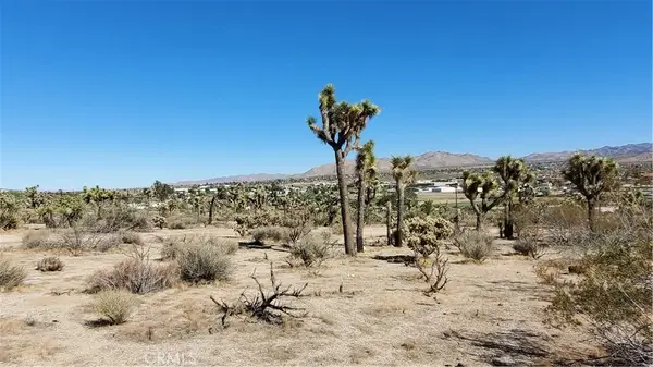 12345 Yucca Vista, Yucca Valley, CA 92284
