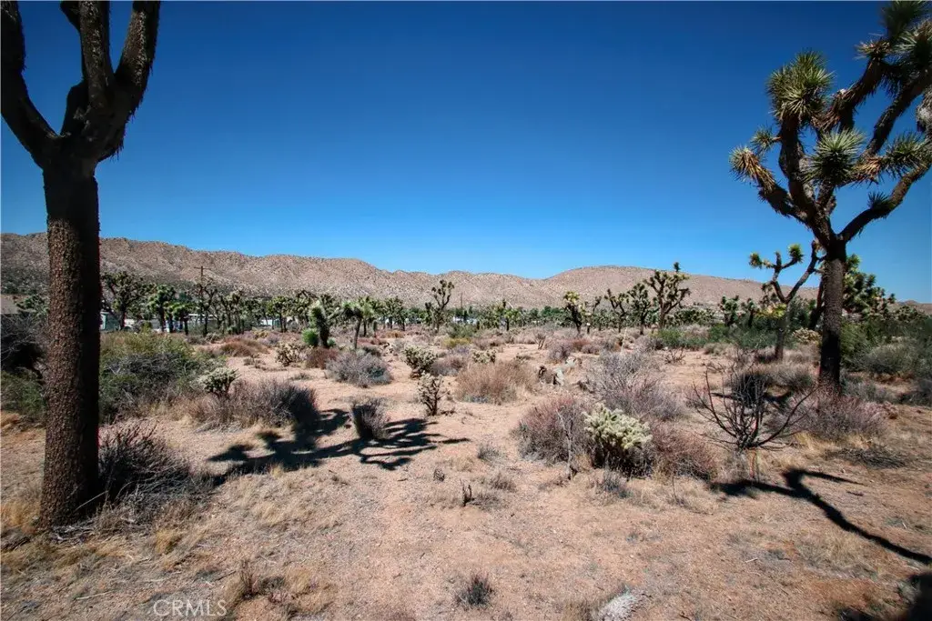 7777 Onaga, Yucca Valley, CA 92284 - Image #1