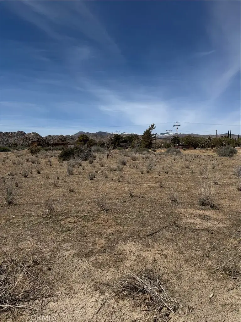 0 Minna Gombell, Pioneertown, CA 92268 - #1