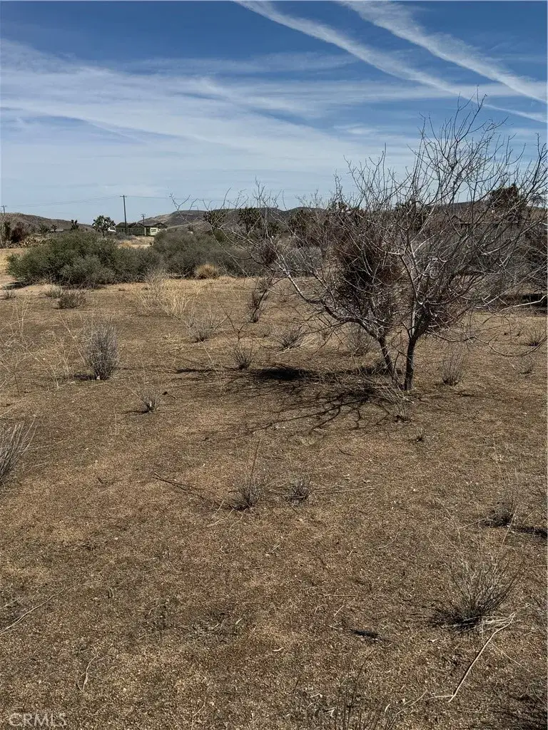 0 Minna Gombell, Pioneertown, CA 92268 - #2