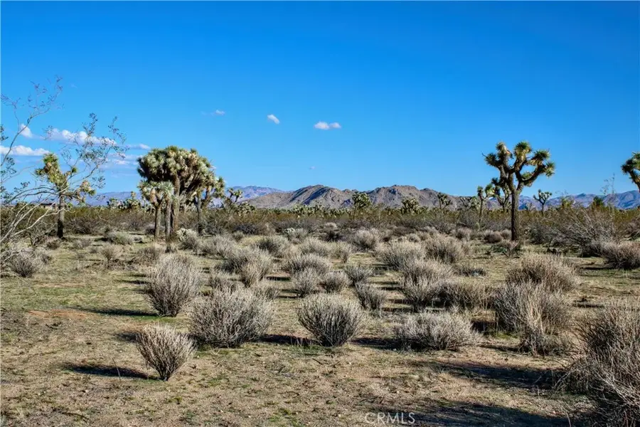 11 El Dorado, Yucca Valley, CA 92284 - Image #2