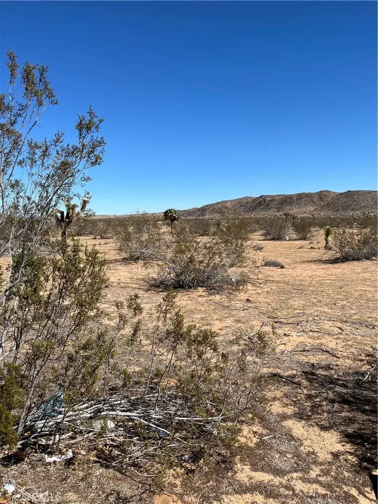 0 Avalon, Landers, CA 92285 - Image #2