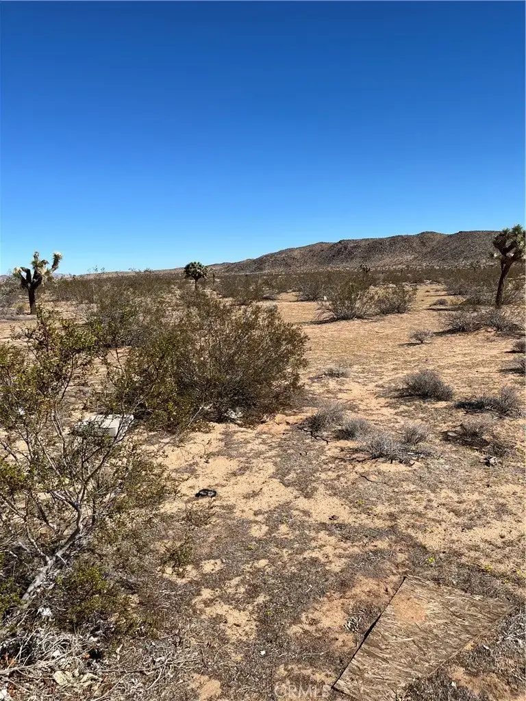 0 Avalon, Landers, CA 92285 - Image #3