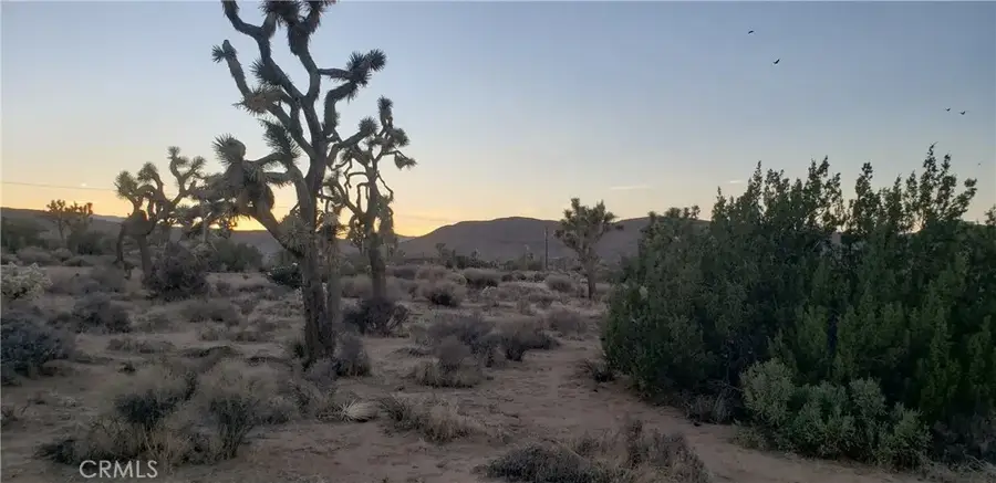 1234 Canton, Yucca Valley, CA 92284 - Image #3