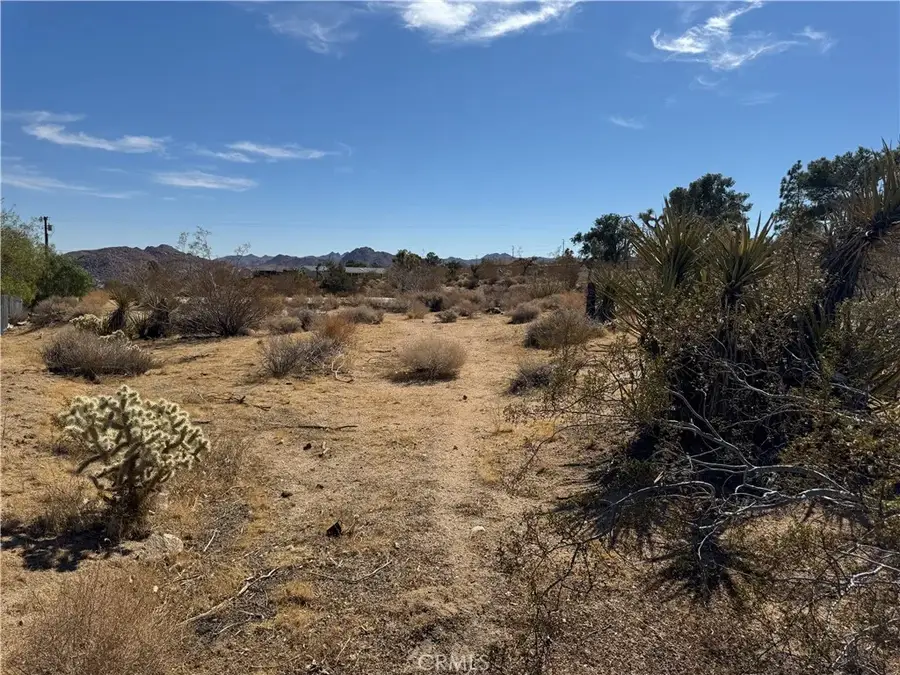 7217 Sunny Vista, Joshua Tree, CA 92252 - #3
