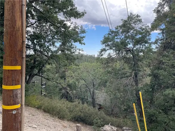 33462 Angeles, Green Valley Lake, CA 92341