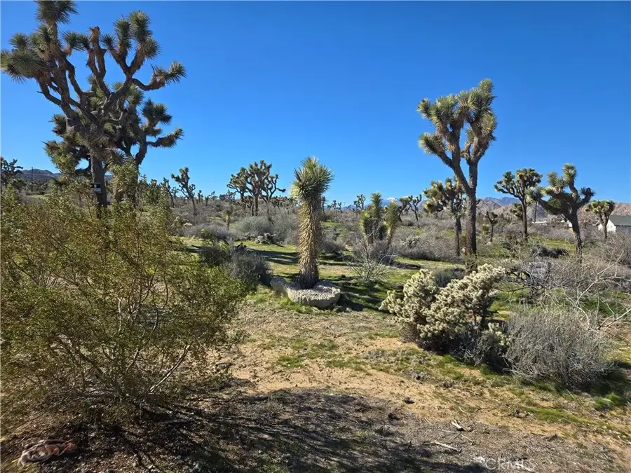 7484 Palm, Yucca Valley, CA 92284 - Image #2
