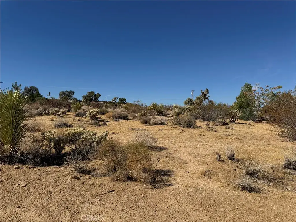 7218 Juniper, Joshua Tree, CA 92252 - #1