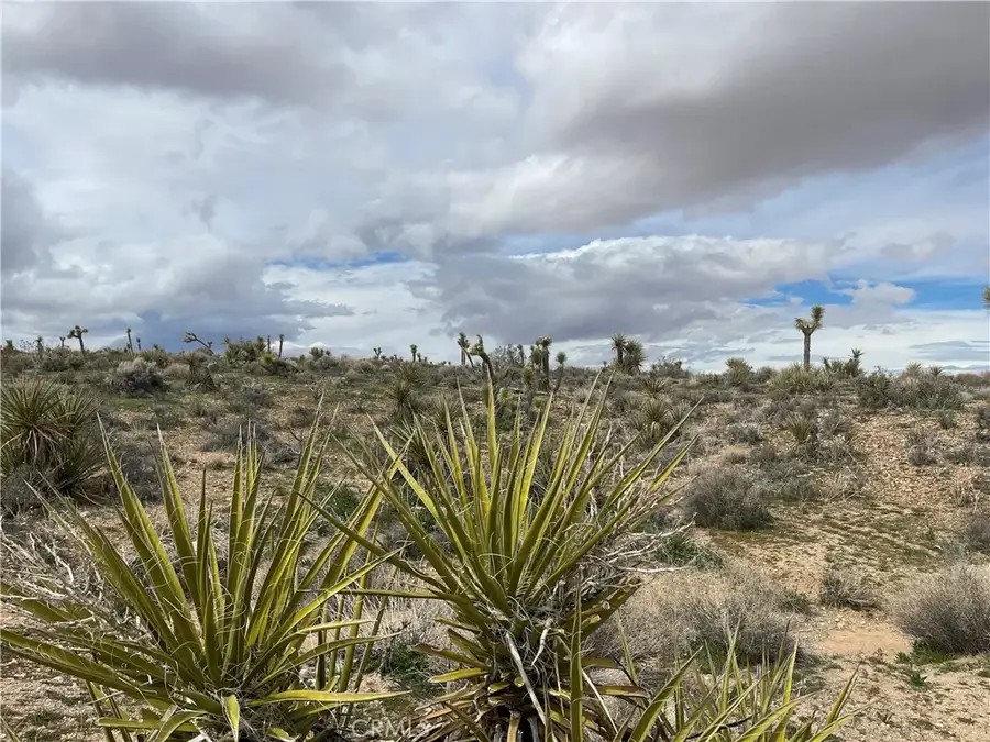 57300 Sunway, Yucca Valley, CA 92284 - #3