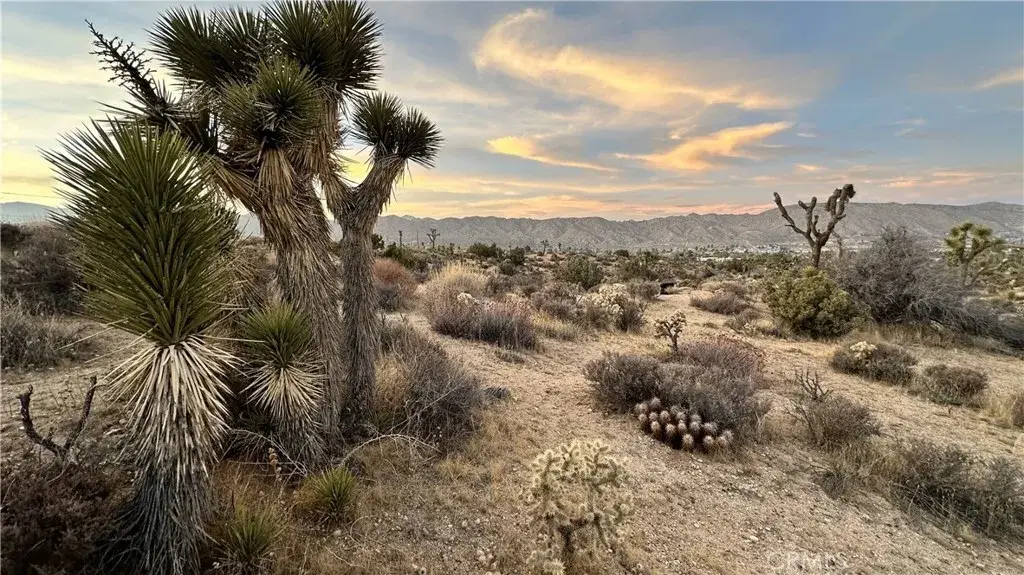 55370 Bunny, Yucca Valley, CA 92284 - #1