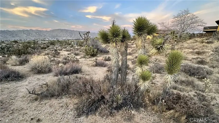55370 Bunny, Yucca Valley, CA 92284 - #3