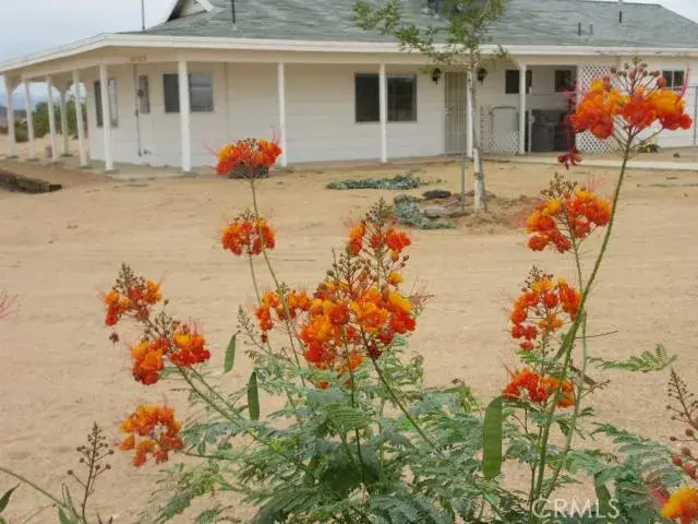 62323 Mars Drive, Joshua Tree, CA 92252 - #1