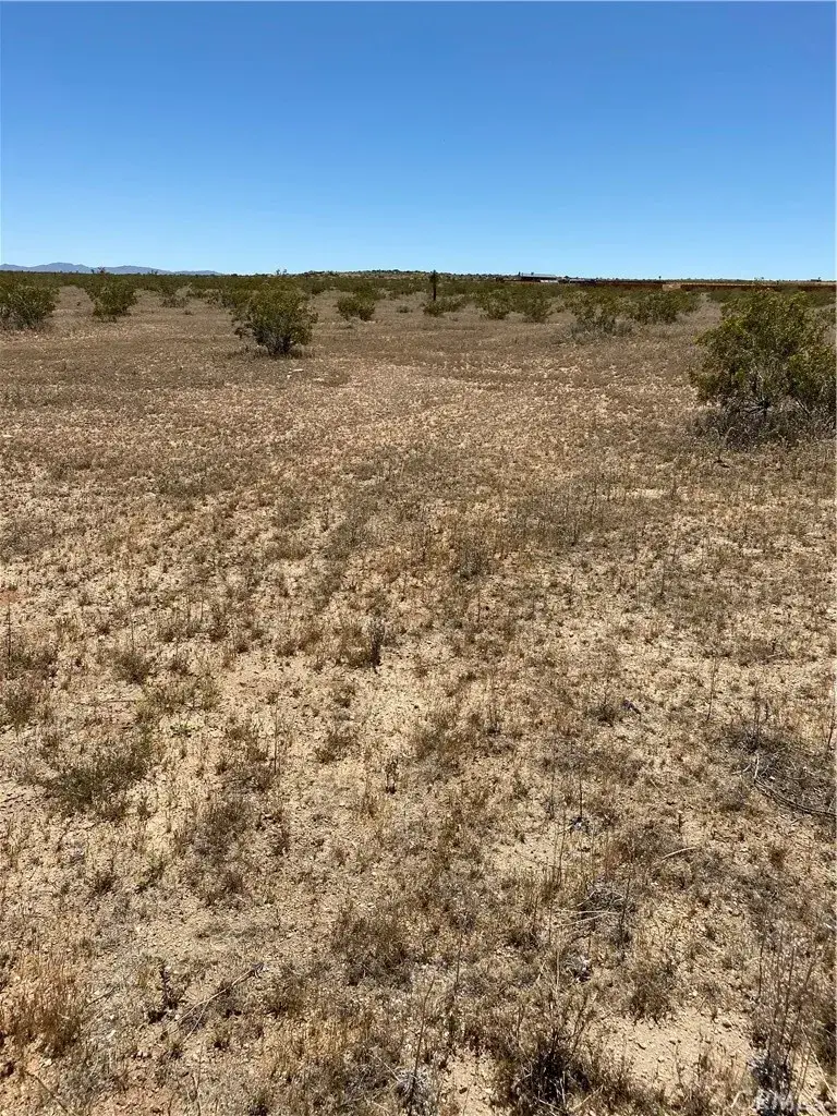0 Fetlock, Landers, CA 92285 - #2