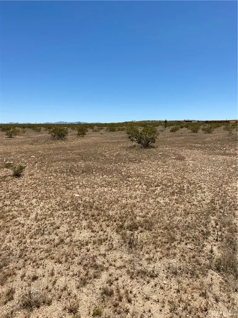 0 Fetlock, Landers, CA 92285 - #3