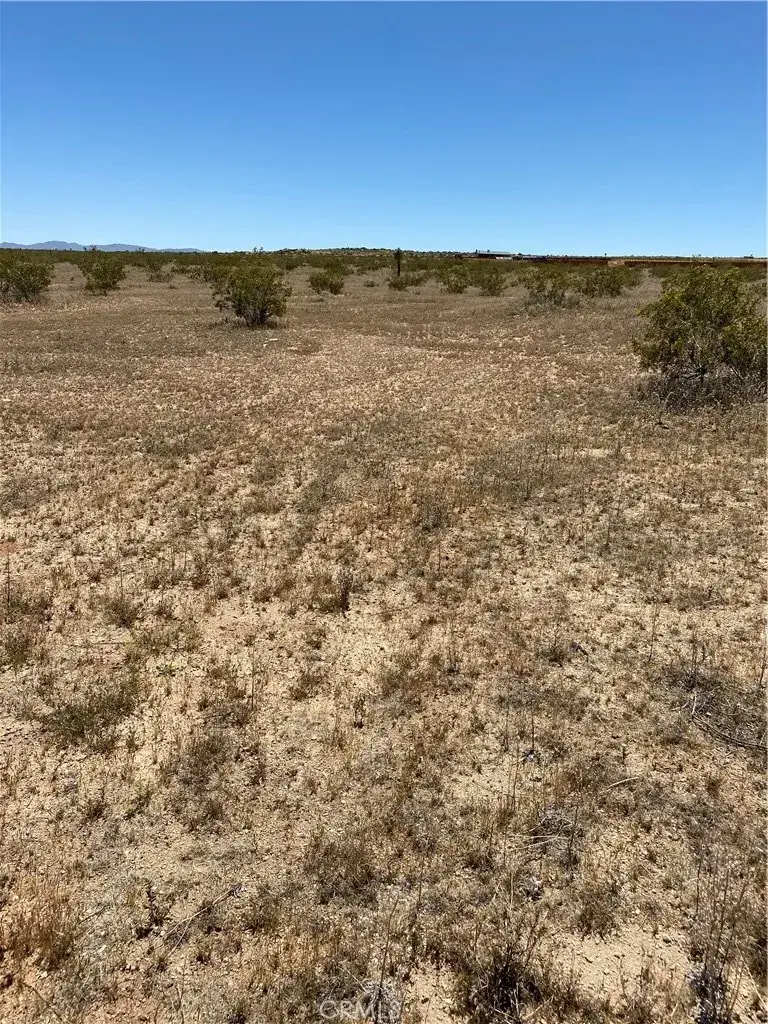 900 Fetlock, Landers, CA 92285 - #2