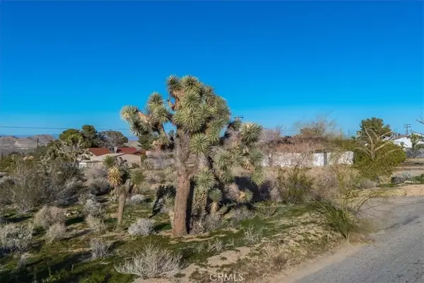 60432 Latham, Joshua Tree, CA 92252
