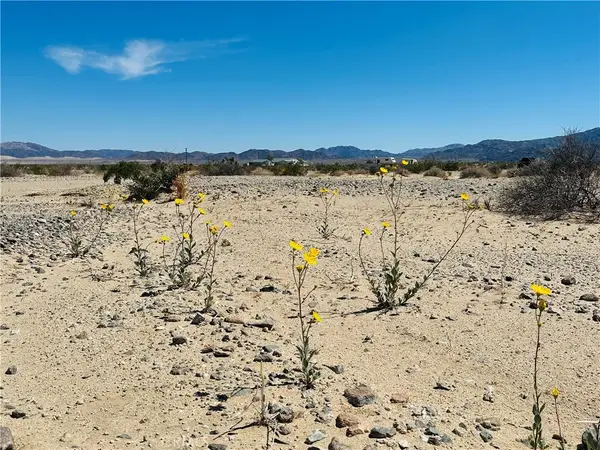 0 Stormy, 29 Palms, CA 92277