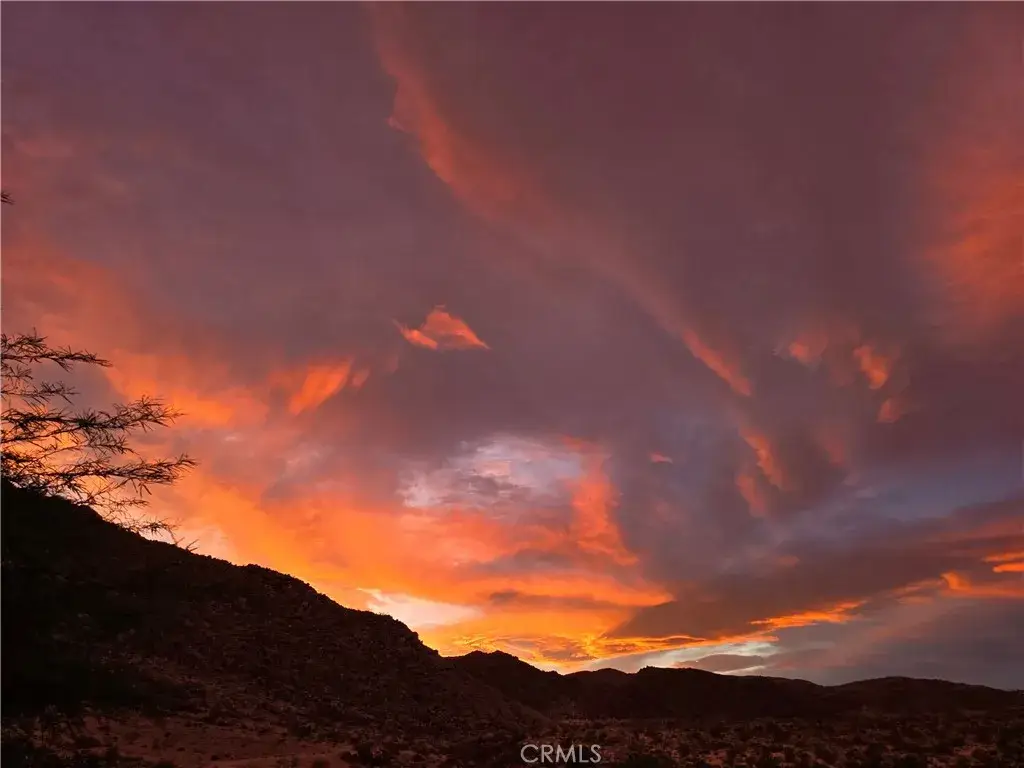 82302 Raymond, Twentynine Palms, CA 92277 - #1