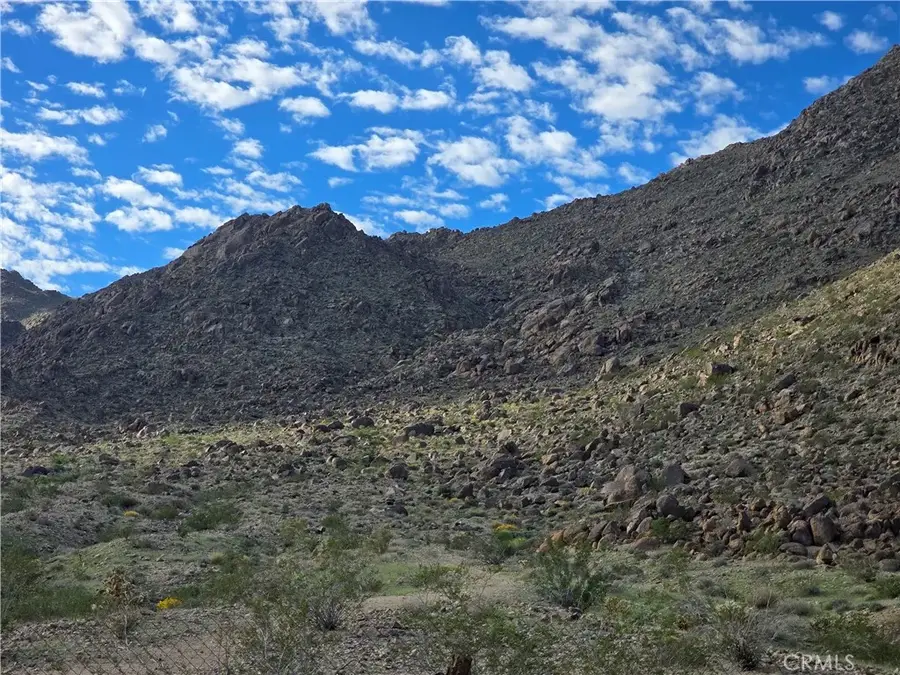 82302 Raymond, Twentynine Palms, CA 92277 - #2