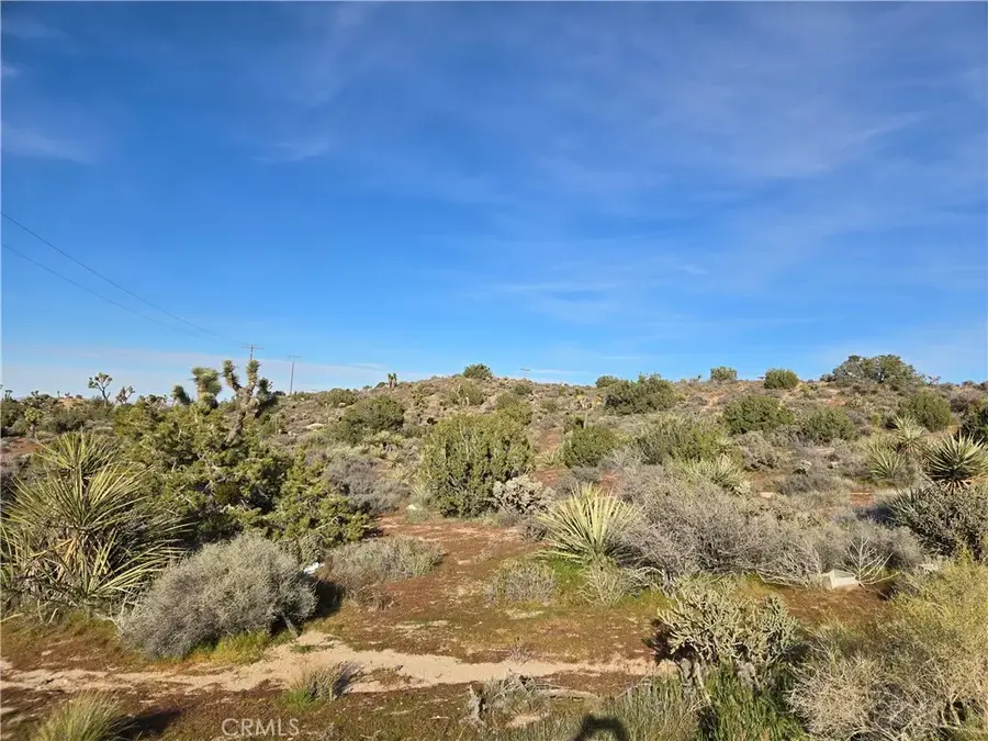 1234 Lemoore, Yucca Valley, CA 92284 - #2