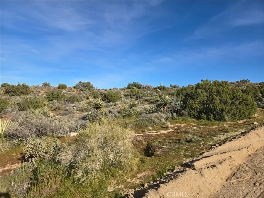 1234 Lemoore, Yucca Valley, CA 92284 - #3